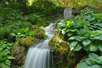 Waterfall At Minter Gardens